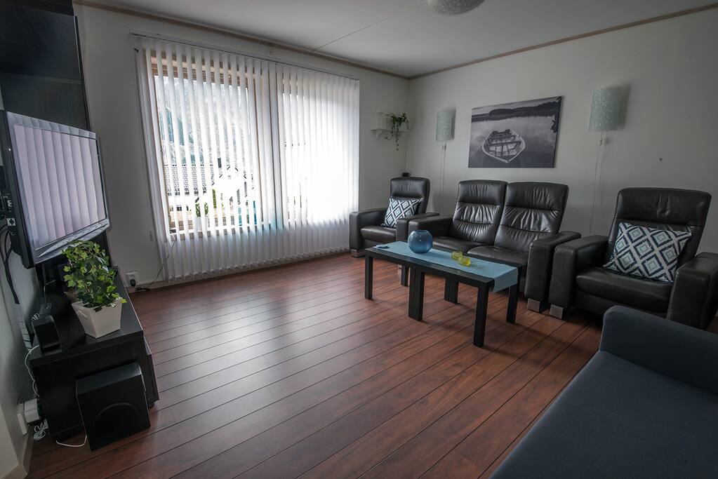 Living room, including television