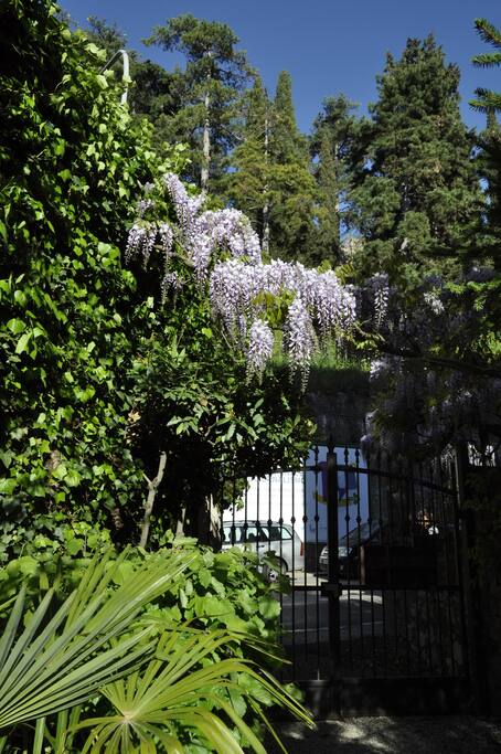 scorcio sul giardino