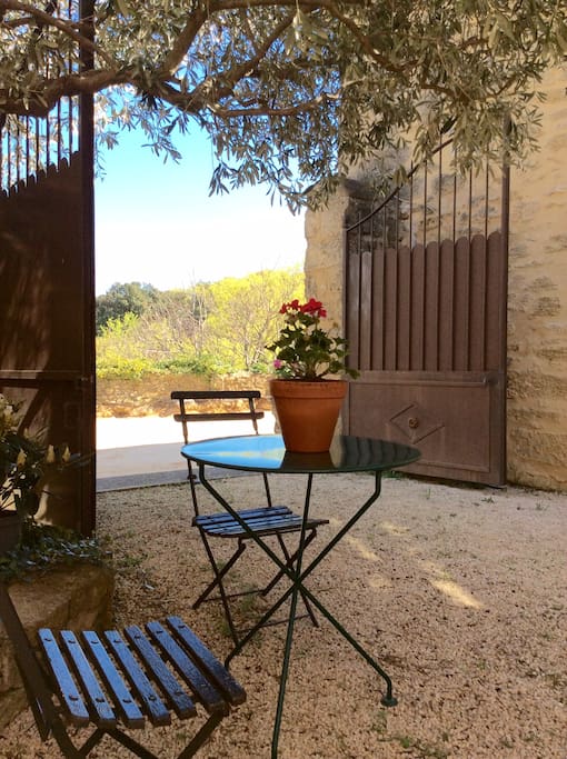 seating area in garden