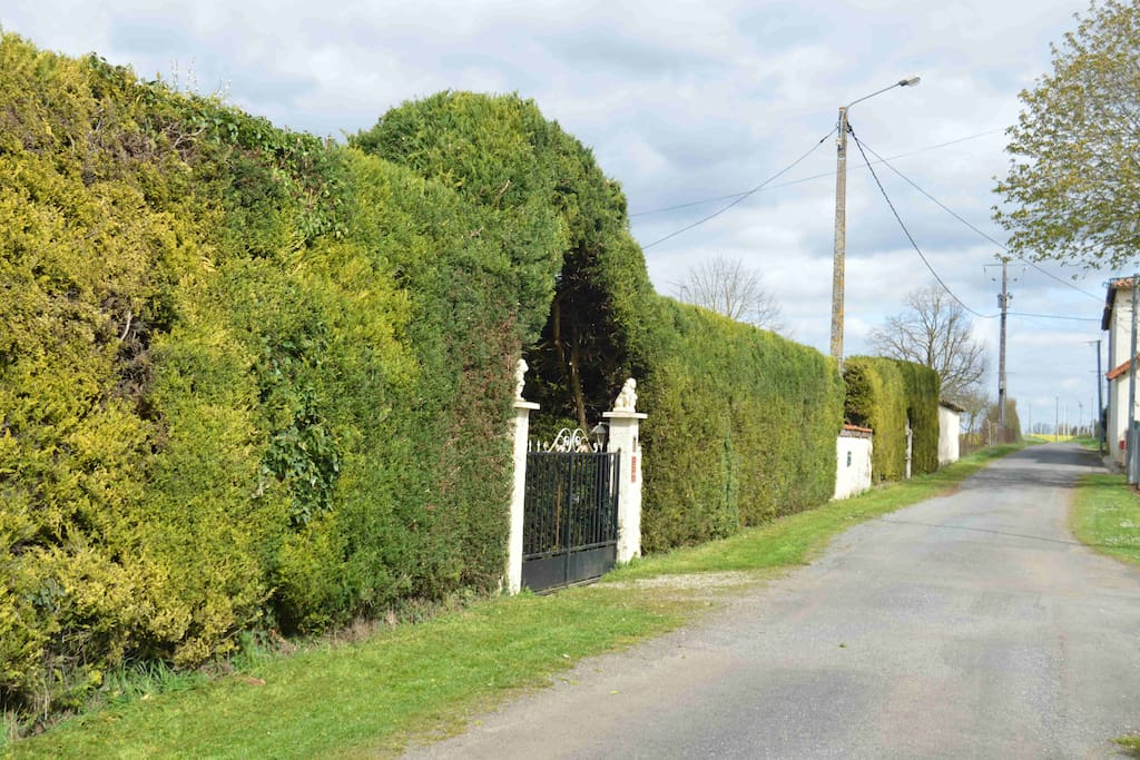 Approach To The Property
