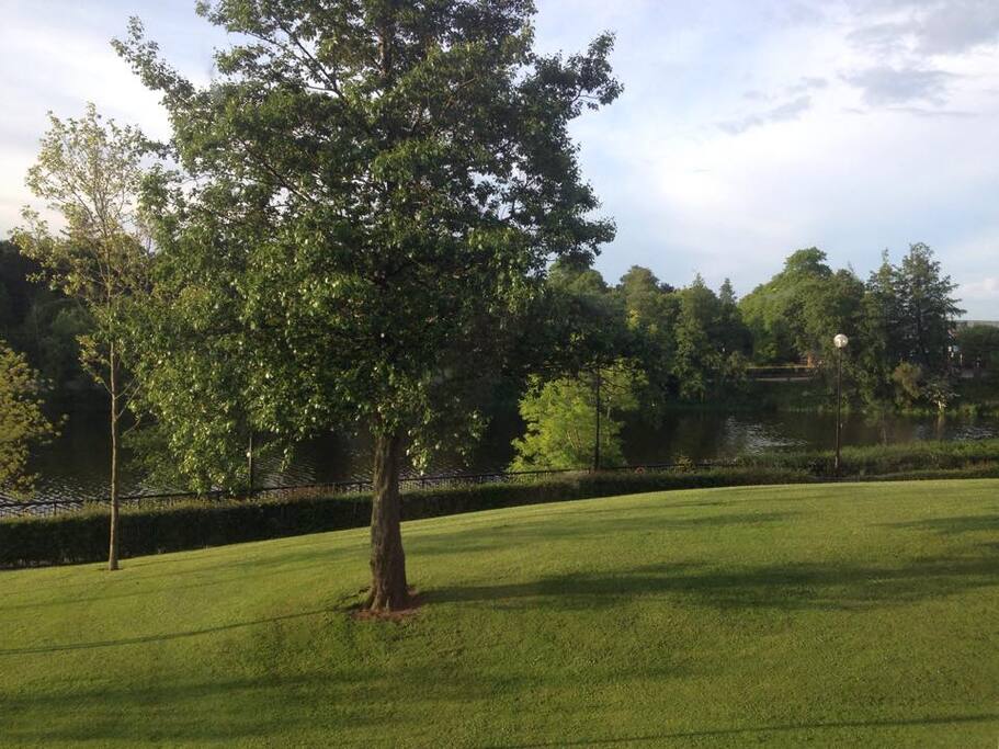 View from House