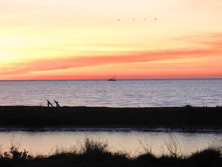 Sunrise from our deck January 2018