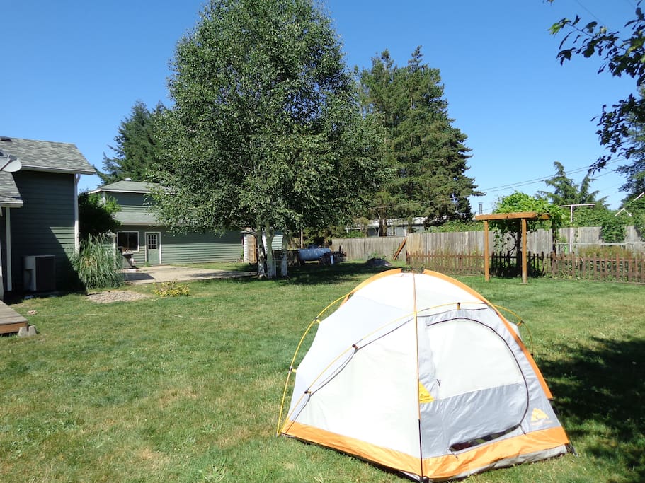 Backyard facing garden
