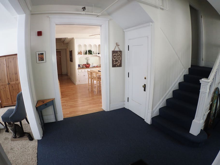 Entry hall. Stairs to your room. Our cat Finnegan is sitting at left.