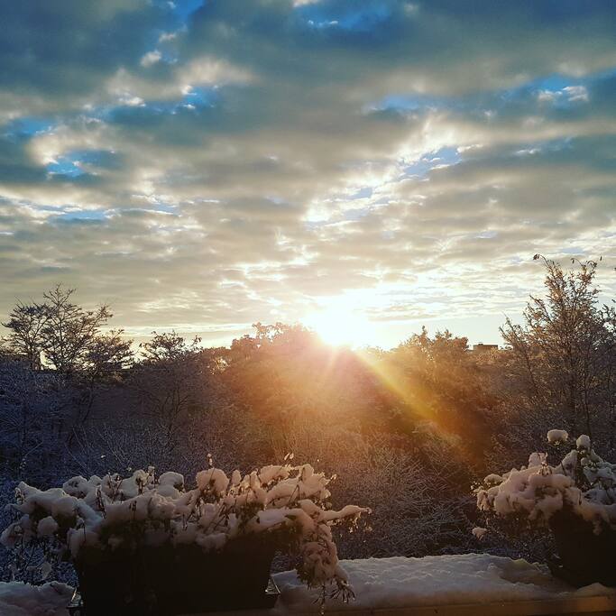 Ich liebe die Aussicht von meiner Terrasse