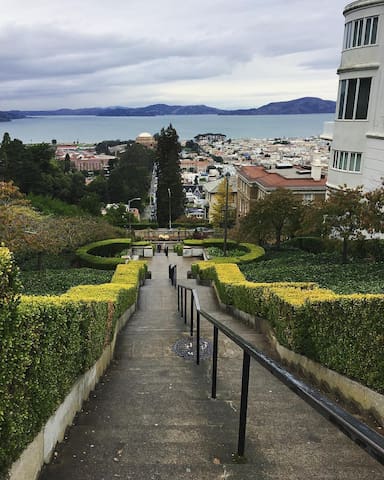 Photo of Lyon Street Steps in Pacific Heights