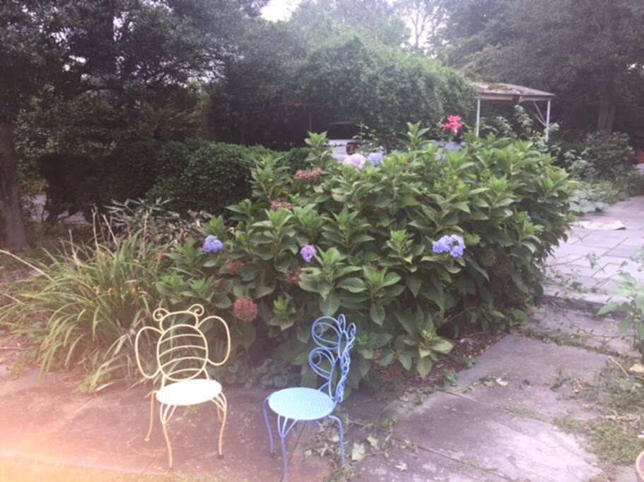 garden