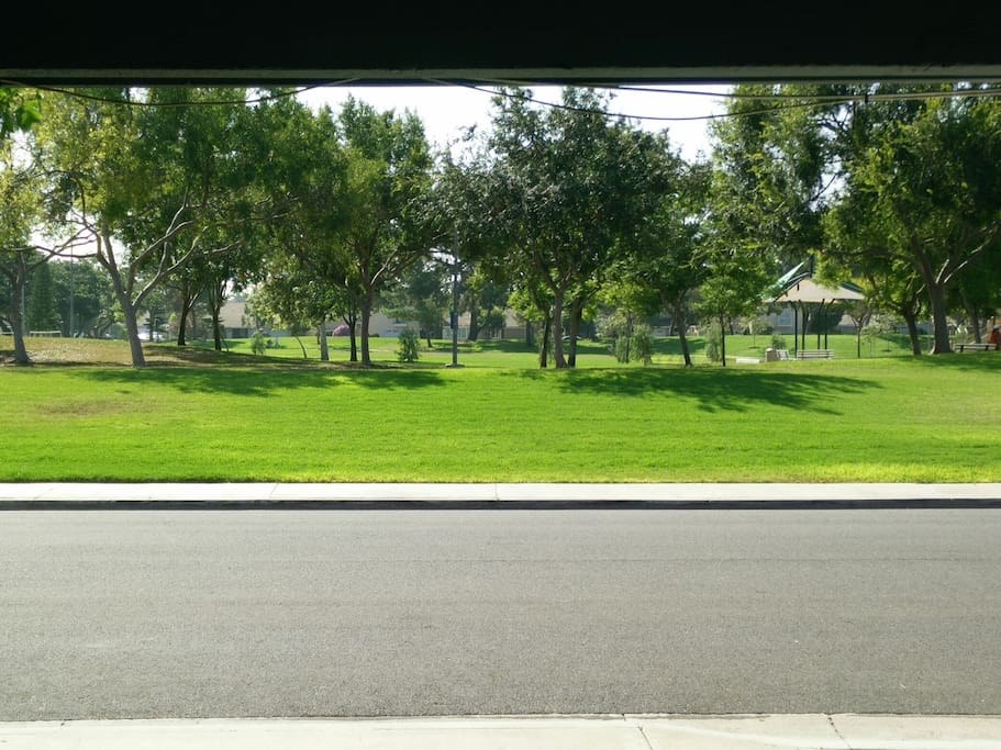 View of the park