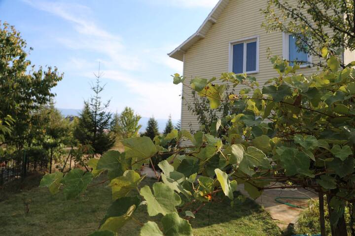 Bolu da hem merkeze yakın hem doğanın içinde