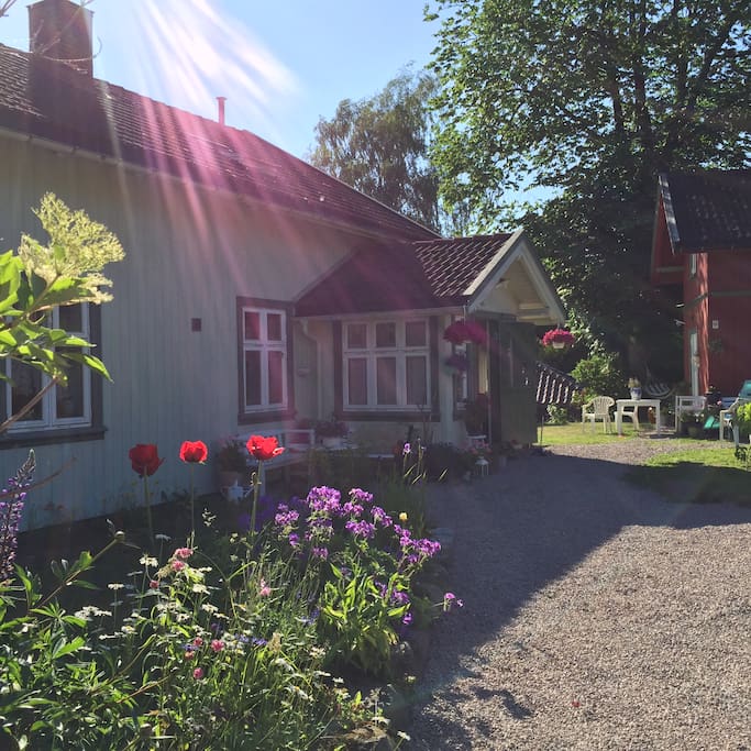 The newly restored swiss style, little house - with the yard in early summer. Poppies... love them.