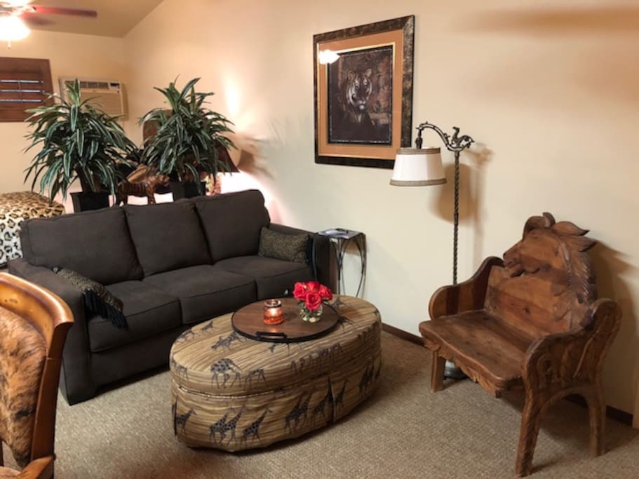 seating area/pull out sofa