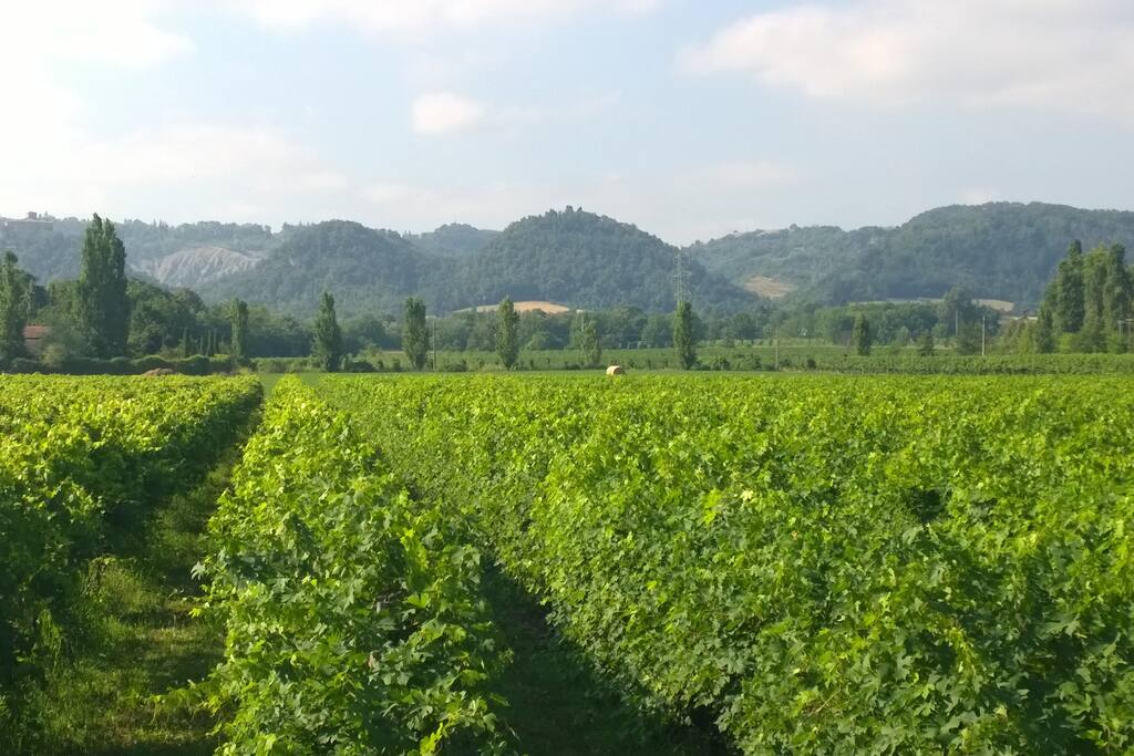 Panorama dalla stanza del nostro agriturismo