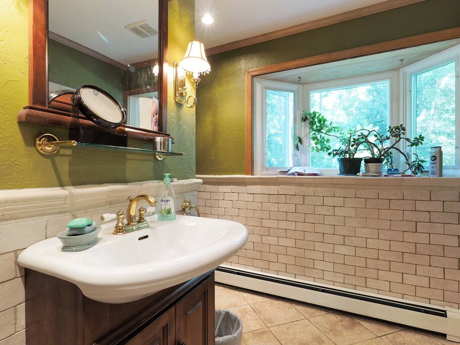 Bathroom with a view