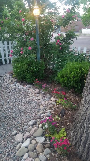Front Yard