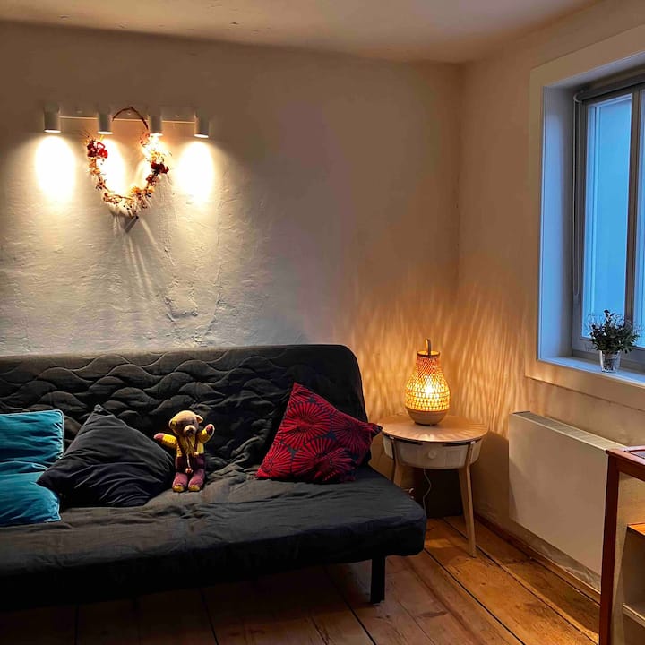 Долна дневна соба/спална соба навечер