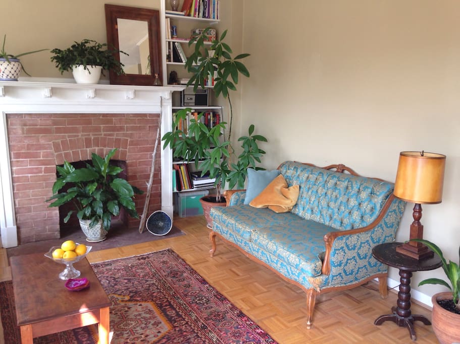 Re-cushioned (and wonderfully comfortable) antique couch, faces the west window, large 4 person couch and looks out over the Toronto treetops. Antique Persian rug. Operational but retired fireplace and tons of plants.