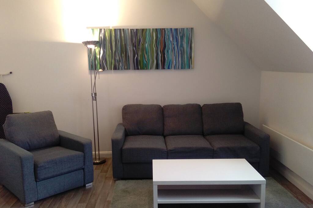Living room with sofa bed