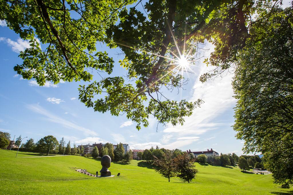 The lovely "Torshovdalen" or "Torshov valley", has for generations given people in the area respite from a busy city life.
2min walking distance from the apartment.