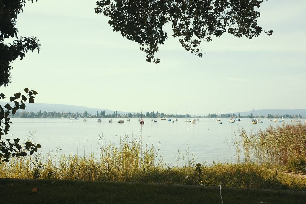 Blick aus dem Esszimmer