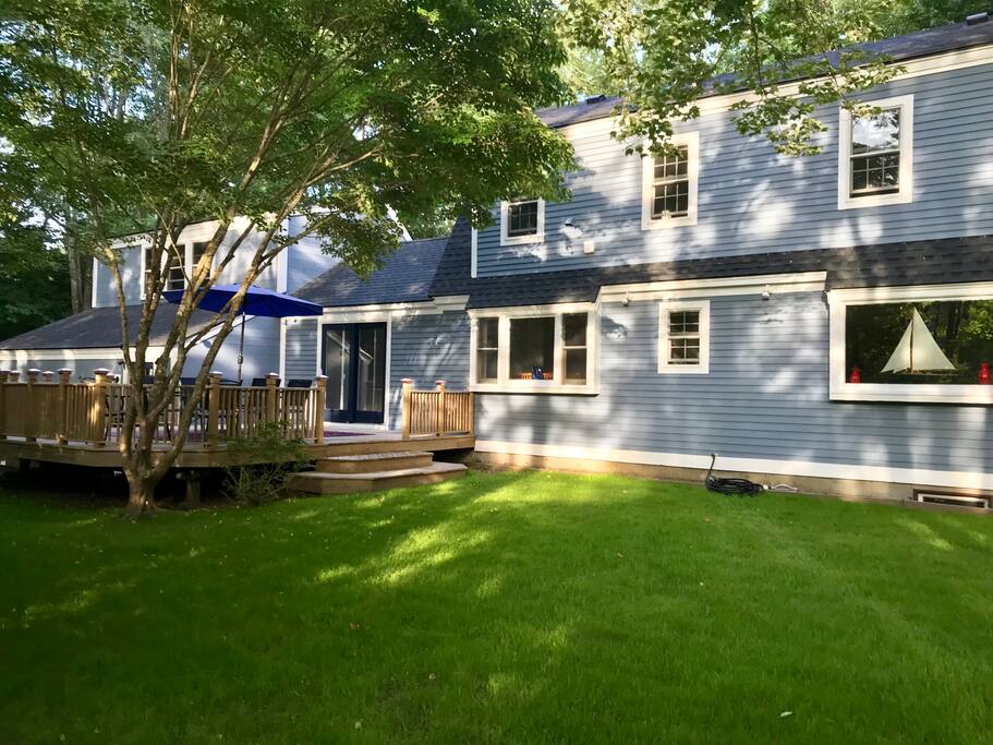 Spacious backyard for playing games or relaxing in the hammock