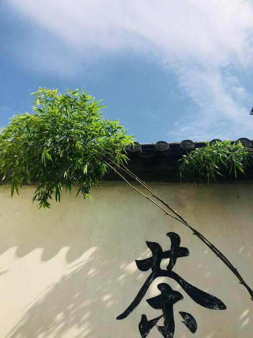 院子里的花花草草