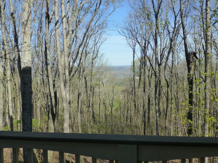 Overlook from back porch