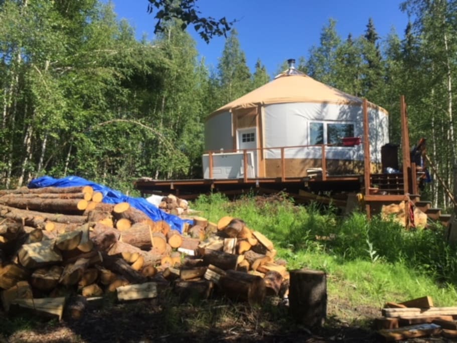 Summer at the Birch Yurt