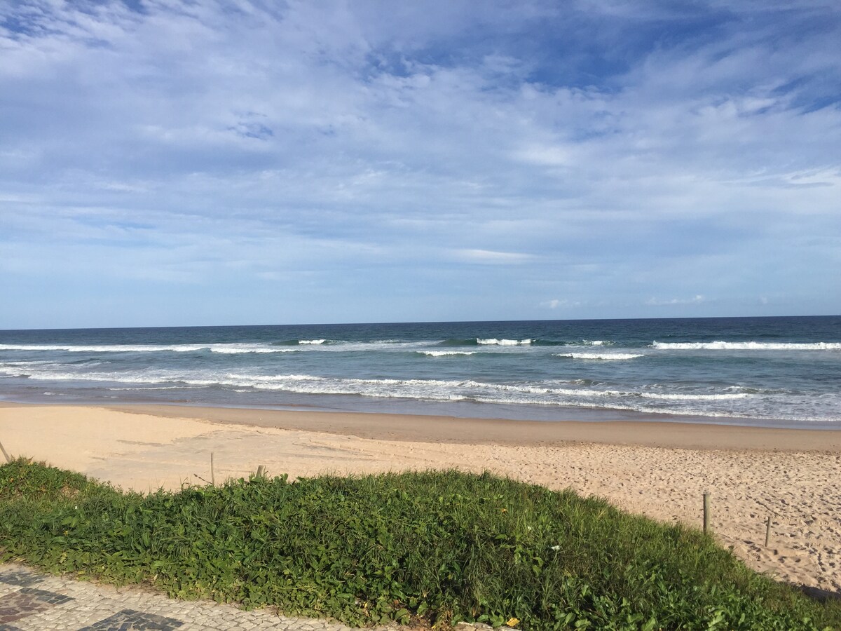 The image captures a serene beach scene, with soft sand bordered by lush greenery. Gentle waves roll onto the shore under a clear blue sky, creating a peaceful coastal atmosphere. The horizon showcases a seamless blend of ocean and sky.