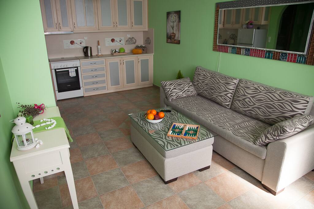 Zeus's living room and kitchen