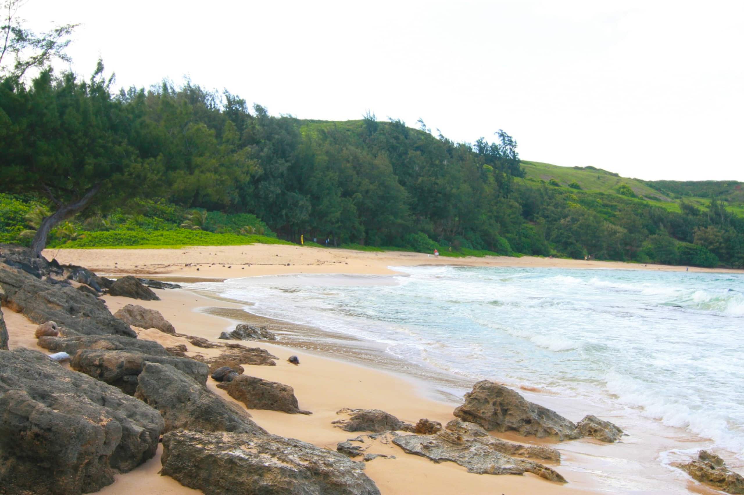 Spectacular Moloa'a Bay on the Beach - Photo 18