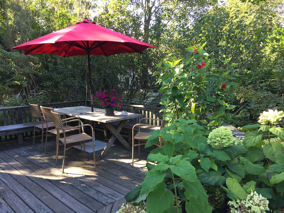 Morning on the deck