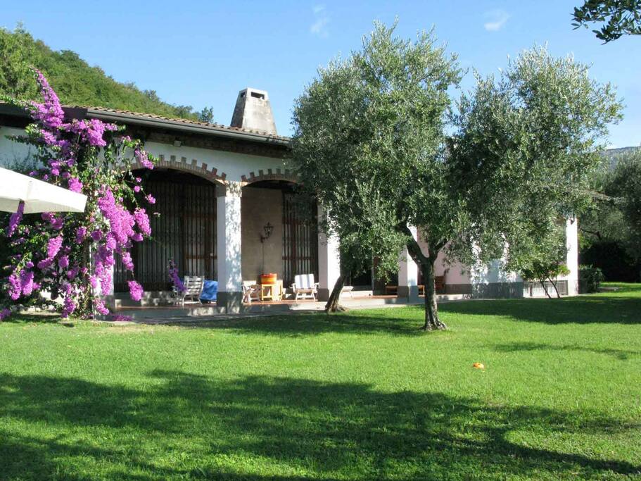 Out door patio