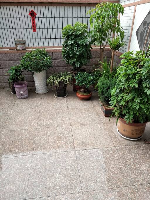 可供观赏的绿色植被。