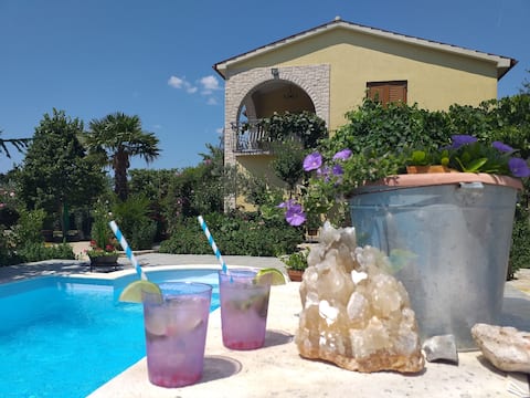 Enchanting Olive Garden Villa Apartment with Pool