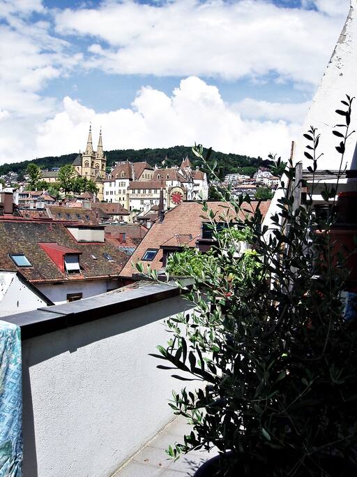 Terrace with a View