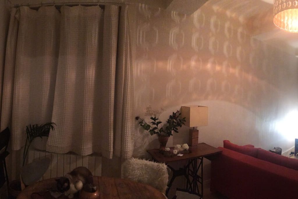 Le salon ( table pour 4 personnes avec un canapé lit)