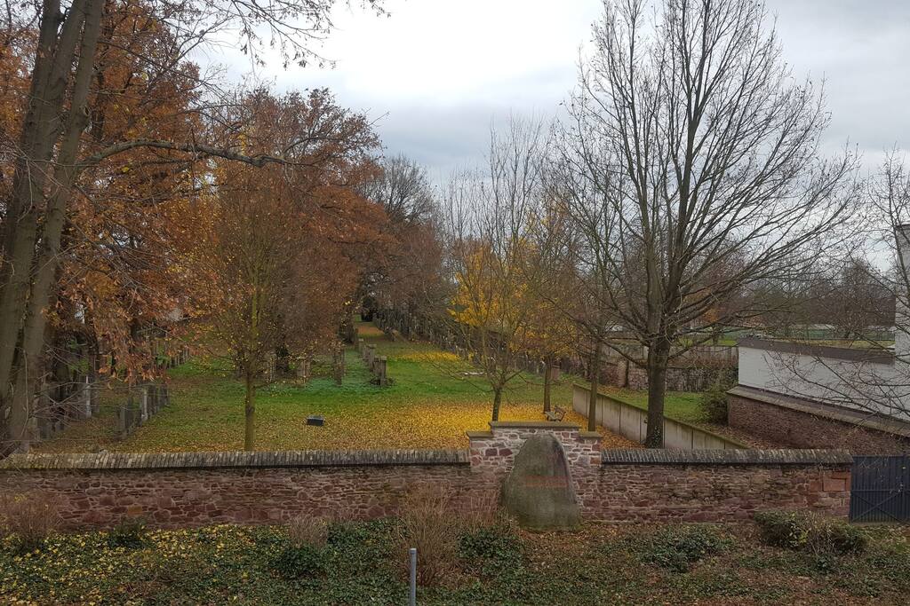 Ausblick auf Natur