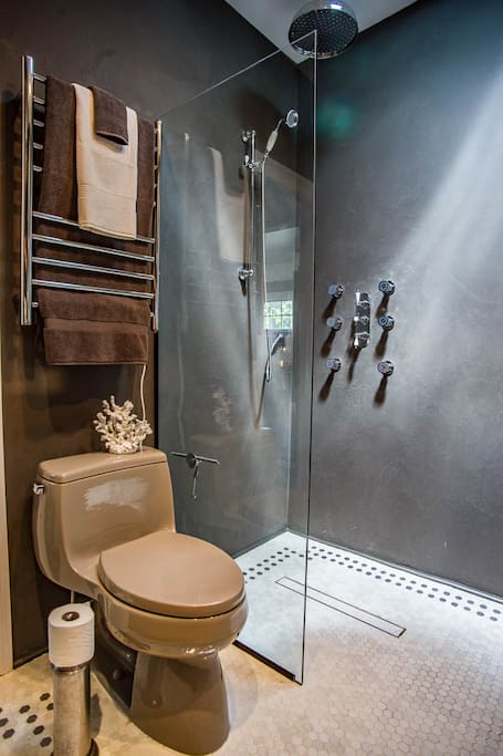 Wall jets, Rain shower head and hand held shower head in downstairs bath