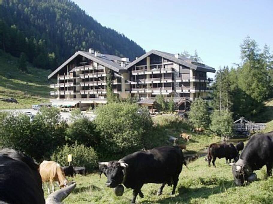 Siviez im Sommer