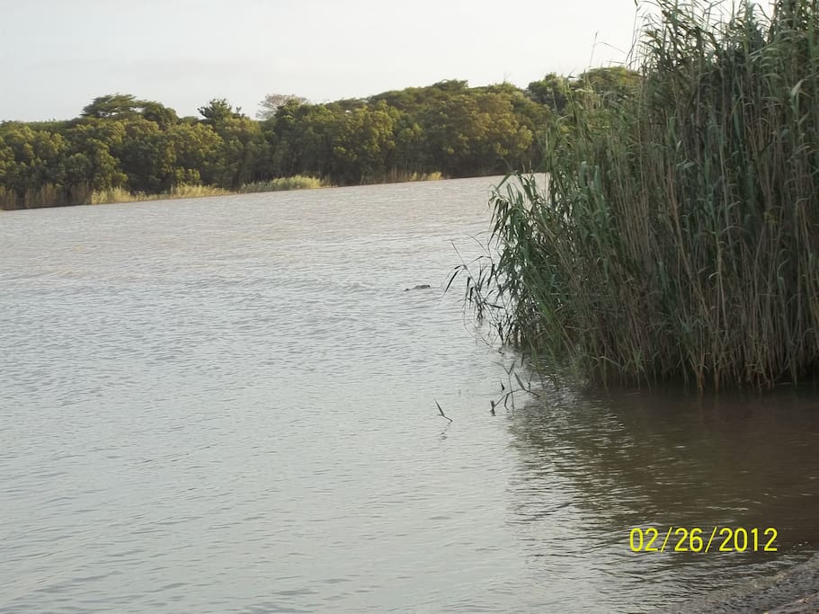 ST LUCIA ESTUARY