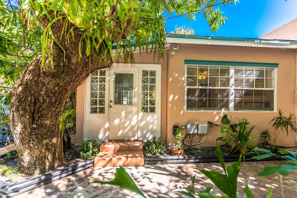 A charming tropical entrance to the apt and mango tree