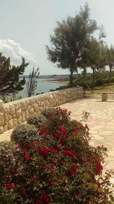 Sabunike, viewpoint