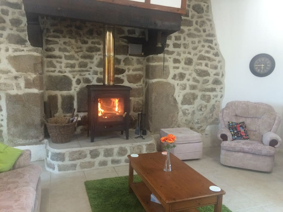 Wood burning stove