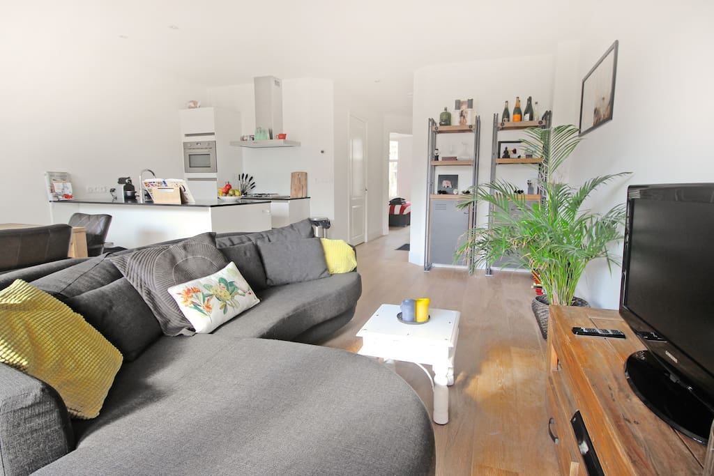 Comfortable living room where you can watch some television