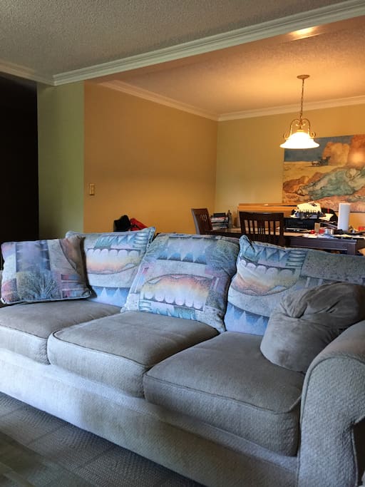 The couch before its set up as a bed.