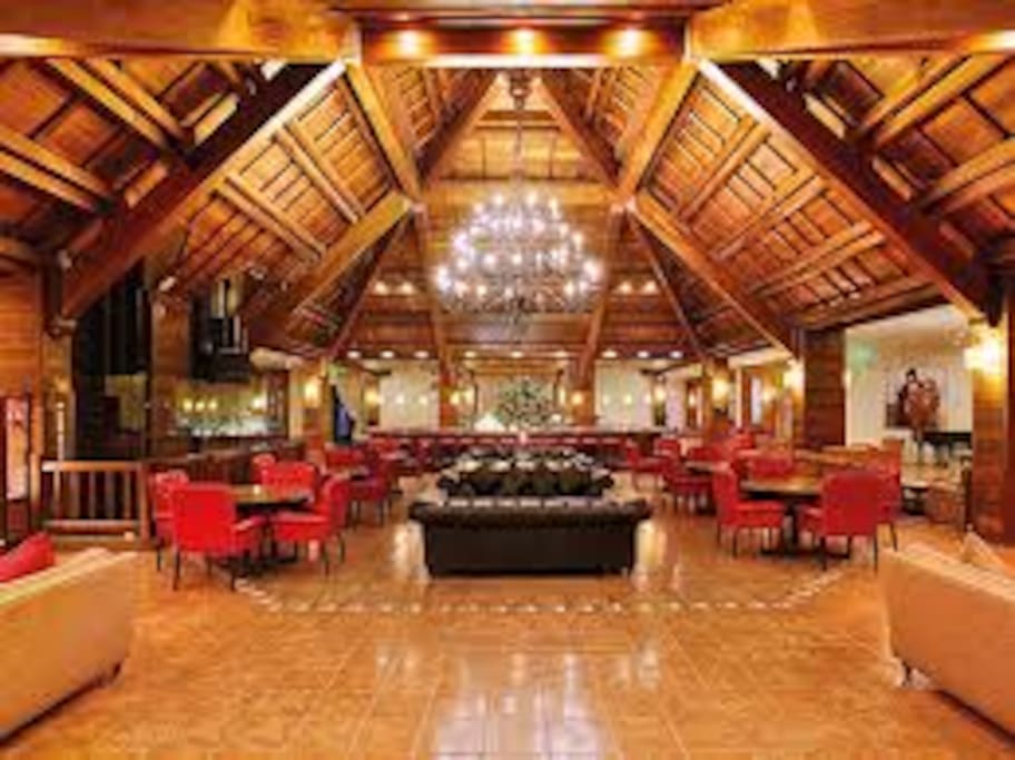 Hotel lobby and bar area