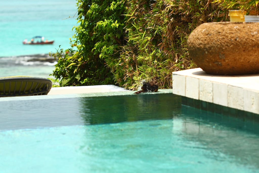 the pool in front of the romantic terrace for two and the beach.