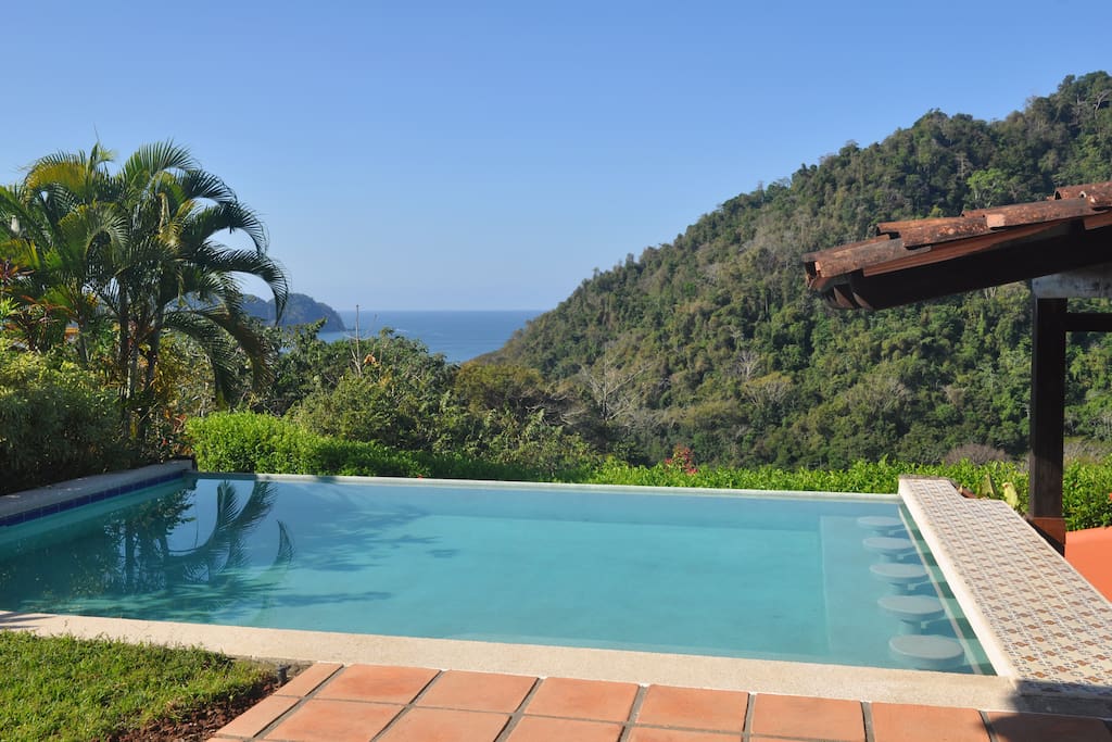 Pacific and Rain Forest View
