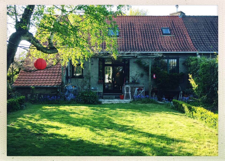 vue du jardin