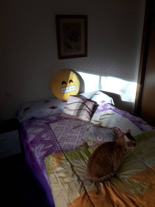 Parte frontal y armario